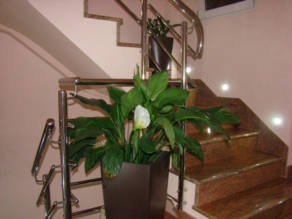Apartments Ledic كرفافيكا المظهر الخارجي الصورة